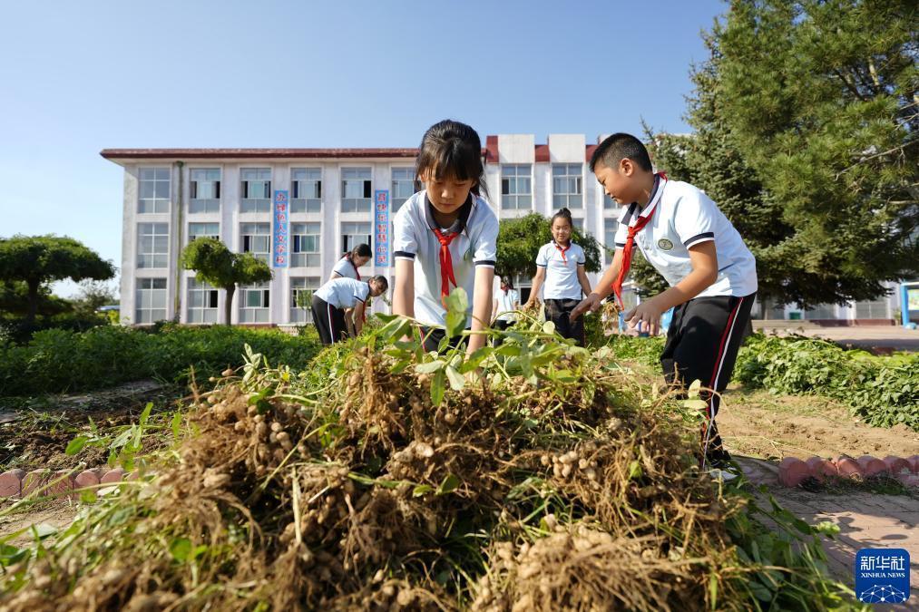 中国银河证